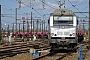 Alstom ? - Ecorail "75008"
15.02.2017
Les Aubrais-Orl�ans (Loiret) [F]
Thierry Mazoyer