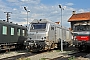 Alstom ? - AKIEM "75328"
08.08.2014
Toulouse-Matabiau [F]
Thierry Leleu