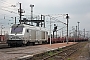 Alstom ? - VFLI "475044"
04.04.2015
Hazebrouck [F]
Nicolas Beyaert