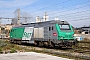 Alstom ? - SNCF "475045"
25.11.2010
Saint-Louis-les-Aygalades [F]
André Grouillet