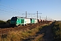 Alstom ? - SNCF "475046"
03.09.2013
Monnerville [F]
Yannick Hauser