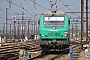 Alstom ? - Ecorail "475052"
18.03.2016
Les Aubrais-Orlans (Loiret) [F]
Thierry Mazoyer