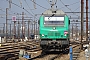 Alstom ? - Ecorail "475052"
18.03.2016
Les Aubrais-Orlans (Loiret) [F]
Thierry Mazoyer