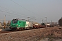 Alstom ? - VFLI "475106"
03.04.2012
Bergues [F]
Nicolas Beyaert