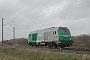 Alstom ? - VFLI "475106"
09.04.2012
Bierne [F]
Nicolas Beyaert