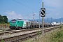 Alstom ? - SNCF "475133"
16.08.2016
Bantzenheim [F]
Vincent Torterotot