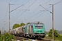 Alstom ? - SNCF "475428"
06.05.2017
Loffre [F]
PASCAL SAINSON