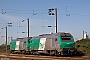 Alstom ? - SNCF "475447"
25.07.2012
Dunkerque [F]
Ingmar Weidig