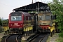 Electroputere 1599 - CFR Marf? "92 53 0630 001-1"
14.05.2015
Piatra Olt [RO]
Julian Mandeville