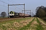 EMD 20008254-9 - Captrain "6601"
17.03.2012
Zenderen [NL]
Martijn Schokker