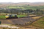 EMD 20008269-18 - Freightliner "66543"
25.06.2018
Greenholme (near Tebay) [GB]
Burkhard Sanner