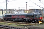 EMD 20018352-5 - Rushrail "T66 405"
15.12.2012
Hagen [D]
Achim Scheil