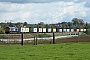 EMD 20068902-002 - First GBRf "66729"
23.10.2010
Kingsthorpe [GB]
Dan Adkins