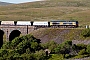 EMD 20078968-007 - GBRf "66747"
25.06.2018
Ribblehead [GB]
Burkhard Sanner