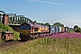 EMD 968702-100 - DB Cargo "66100"
05.07.2017
Oakley, Worting Junction [GB]
Peter Lovell