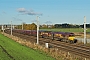 EMD 968702-11 - DB Schenker "66011"
19.11.2013
Winwick Junction [GB]
Peter Lovell