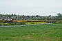 EMD 968702-183 - DB Schenker "66183"
17.05.2012
Northampton-Kingsthorpe [GB]
Dan Adkins