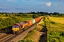 EMD 968702-30 - DB Cargo "66030"
02.08.2024
King
