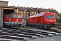 Siemens 21020 - BB "2016 096"
10.02.2003
Wiener Neustadt [A]
Alexander Leroy