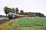 Siemens 21282 - WLE "22"
09.10.2025
bei Liesbern [D]
Carsten Klatt