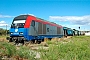 Siemens 21406 - CTV "2016 750-3"
12.09.2017
Trgu Frumos [RO]
Catalin Vornicu