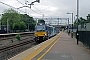 Stadler 2854 - DRS "88004"
13.06.2017
Lichfield, Trent Valley Station [GB]
Jack Meakin-Sawyer