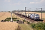 Vossloh 2510 - Europorte "4006"
11.07.2019
Courcelles-le-Comte [F]
Pascal Sainson