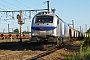 Vossloh 2633 - Europorte "4009"
21.08.2013
Les Aubrais Orlans (Loiret) [F]
Thierry Mazoyer