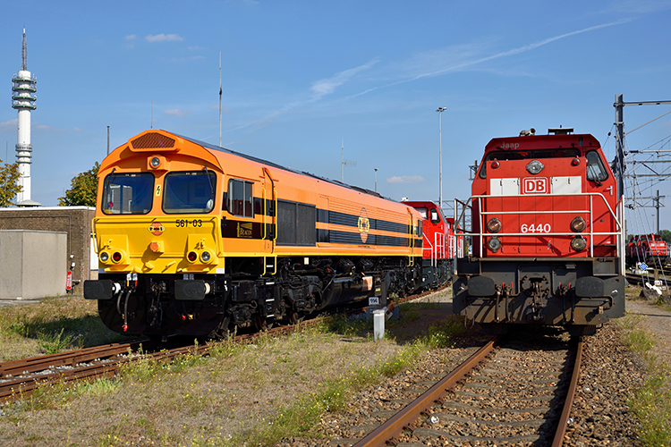 emd_200385613_85.jpg