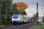 Bombardier 34326 - metronom "246 005-3"
21.10.2016 - Hamburg-Harburg
Alexander Leroy