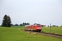 Bombardier 35004 - DB Regio "245 005"
01.10.2016 - Seeg
Peter Wegner