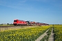 Bombardier 35203 - DB Fernverkehr "245 021"
05.05.2016 - Emmelsbüll-Horsbüll
Henk Zwoferink