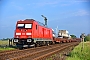 Bombardier 35216 - DB Fernverkehr "245 025"
28.05.2016 - Klanxbüll
Jens Vollertsen